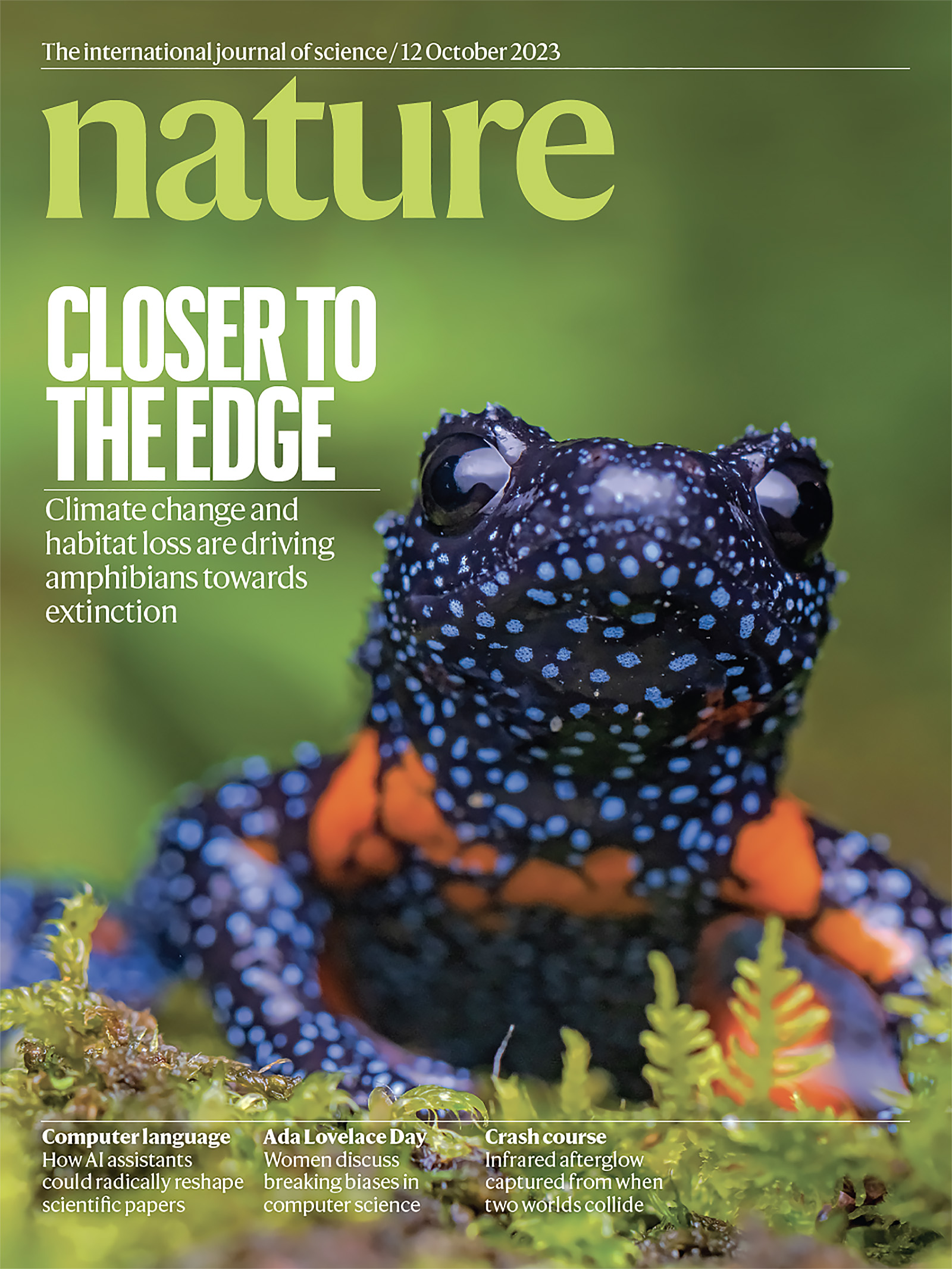 Nature Cover October 12, 2023: a black microhylid frog (Melanobatrachus indicus), a rare species from the Western Ghats of India. Photo by Sandeep Das