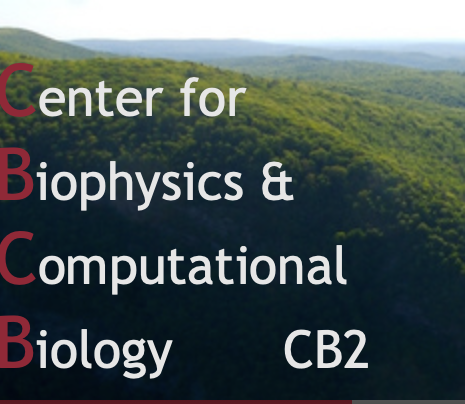 Background for the 'Center for Biophysics & Computational Biology (CB2)' link block