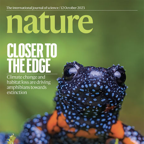 Nature Cover October 2023:a black microhylid frog (Melanobatrachus indicus), a rare species from the Western Ghats of India. photo by Sandeep Das