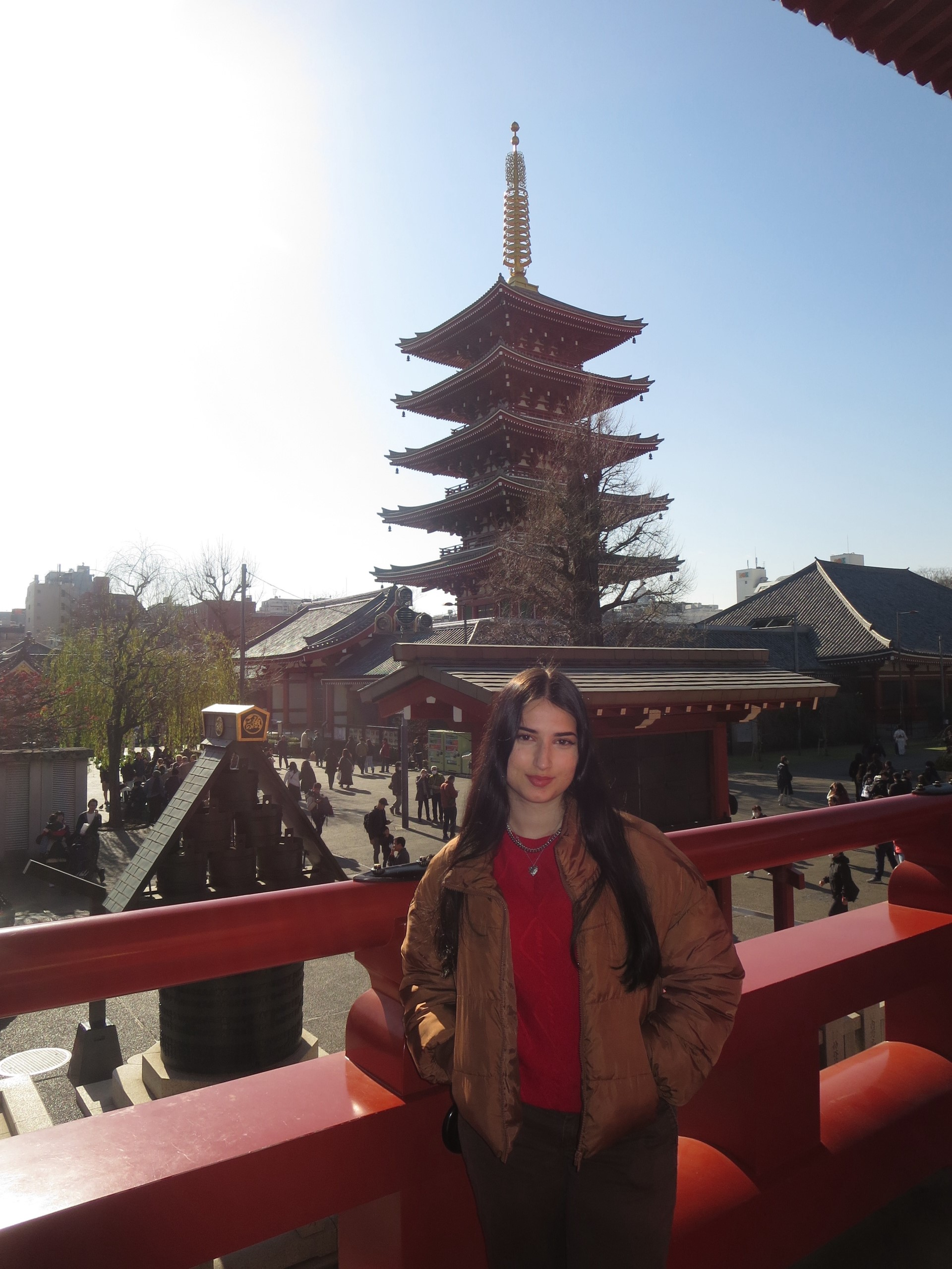 Study abroad in places like Japan!