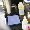 lab