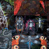 Bio_Website_Caryn_collage_black%202022-12-16%2007_38_11.jpg