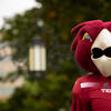 CST-Convocation-2020_Zoom-Backgrounds-01.jpg