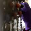 Dobereiner-Incubator-Lab_Web.jpg