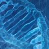 dna-biology-science-dna-helix.jpg