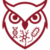 Temple Biology Owl