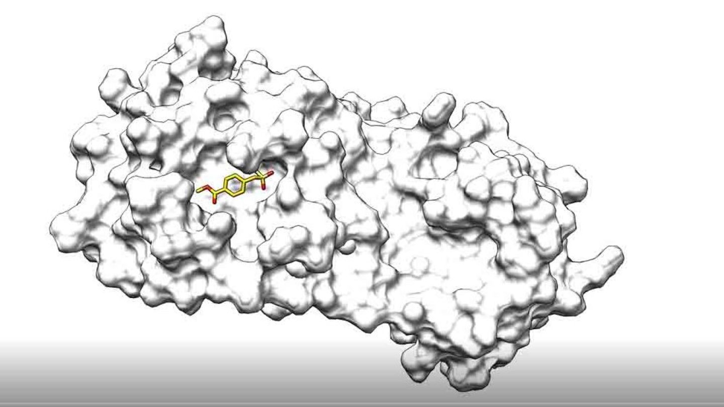 Citizen scientists are using a distributed computing network to help fight the coronavirus. an animated computer calculation.