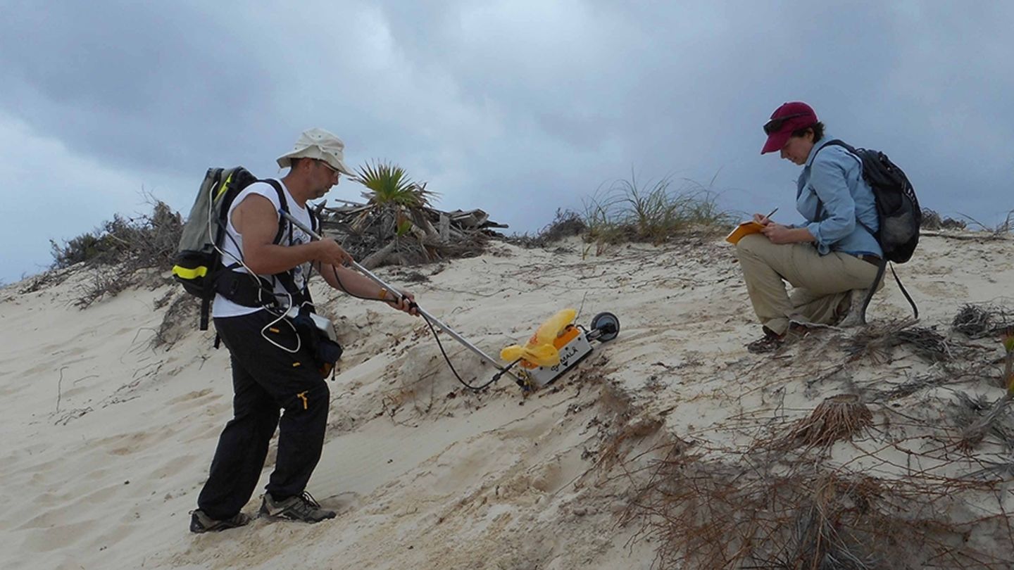 By conducting georadar surveys in the Bahamas, Associate Professor Ilya Buynevich and Karen Kopcznski, CST ’12, have been able to connect underground animal activity with ancient cultural sites. A man using a yellow georadar machine on a beach.