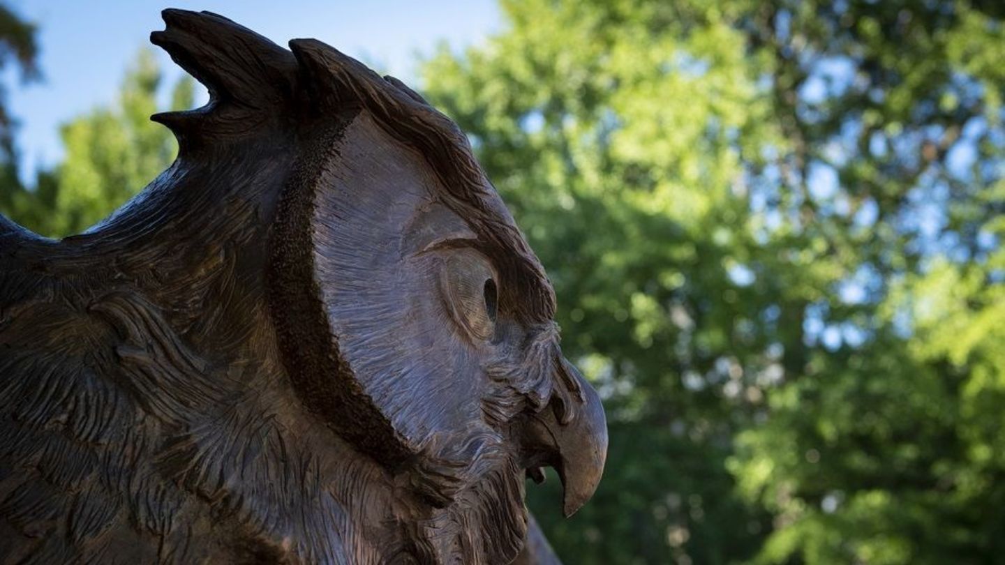 Temple Owl statue on Main Campus