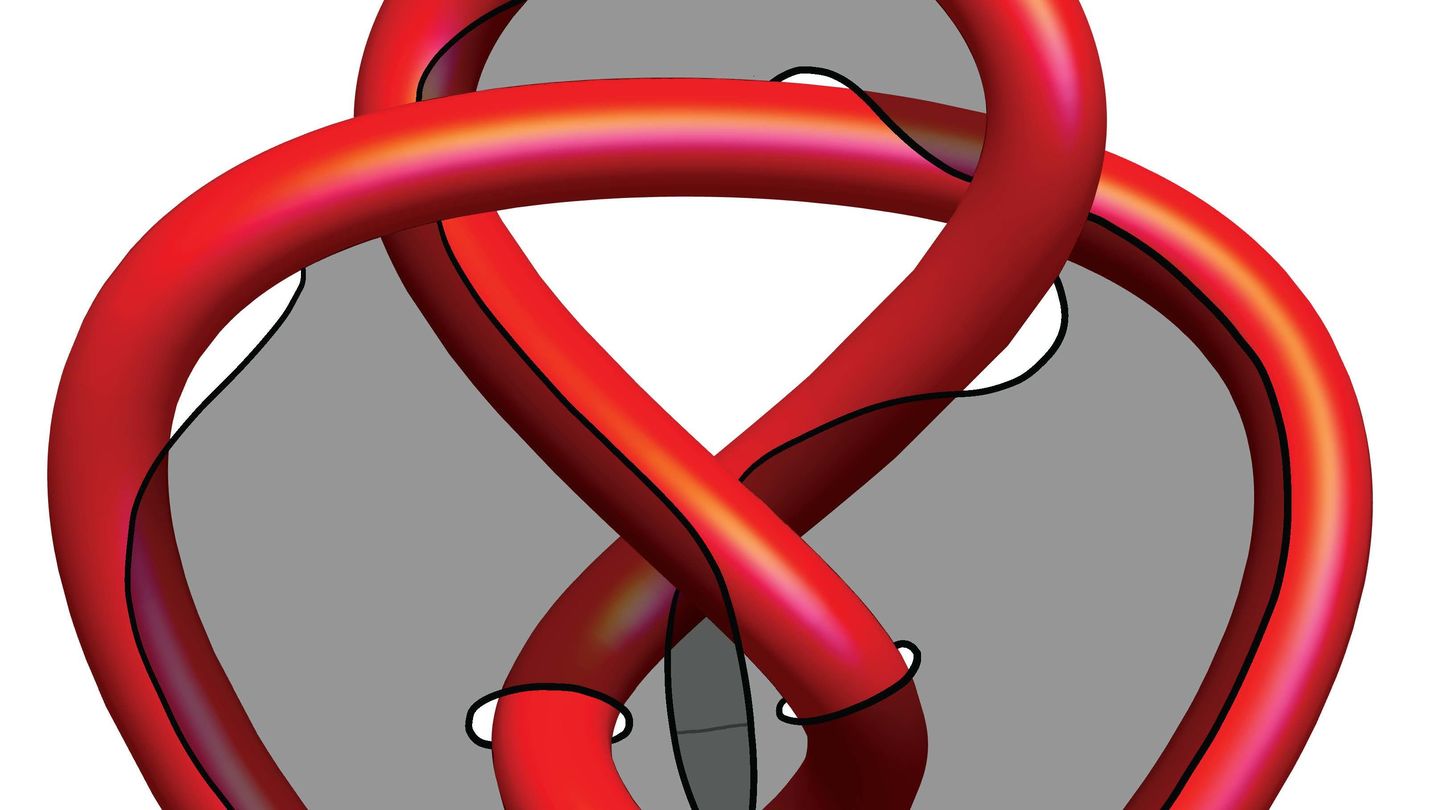 The figure-8 knot. 