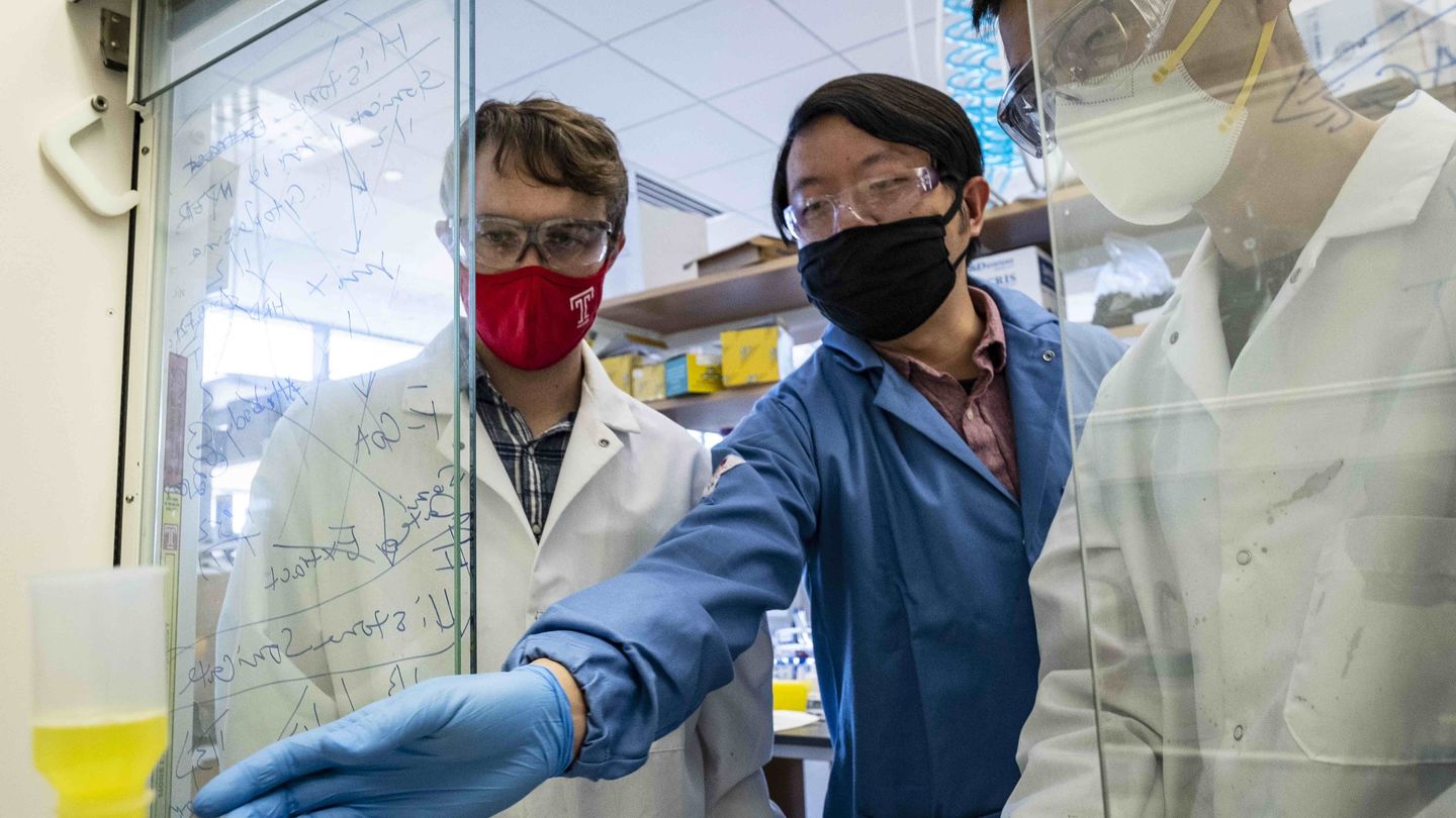 Ross Wang and Students in lab