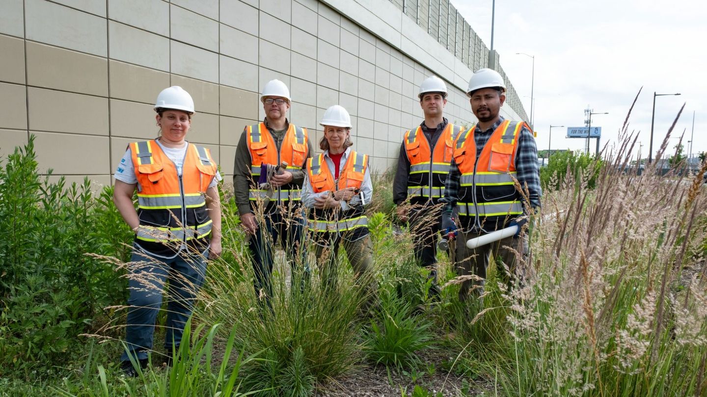 Image of the Temple research team in a bioinfiltration basin along I-95.